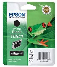 Epson T0541 Noir Photo (13 ml) Cartouche de marque